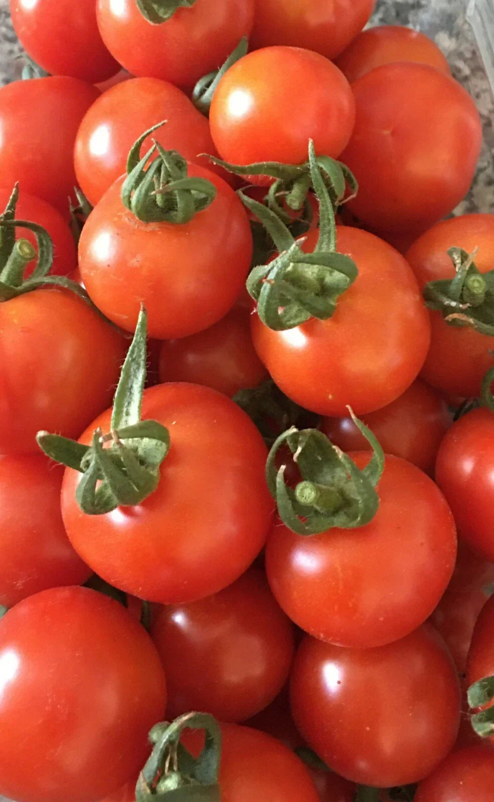 Organic Red Sweetie Cherry Tomato Seeds - Heirloom Lycopersicon esculentum, 100+ Non-GMO Seeds for Home Garden & Container Growing