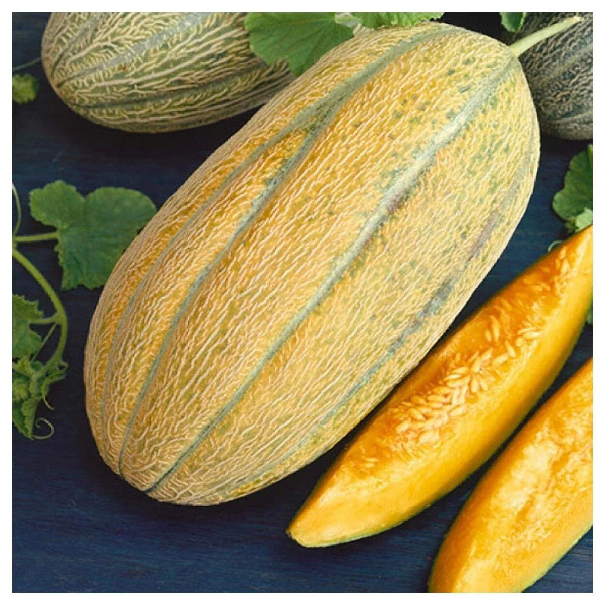 Banana Melon Seeds - Non-GMO Aromatic Cantaloupe Cucumis melo for Home Garden, Full Sun, High Yield