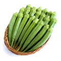 Perkins Long Pod Okra Seeds - Heirloom Non-GMO, 100+ Abelmoschus esculentus Seeds for Home Garden, Container, Raised Bed Cultivation
