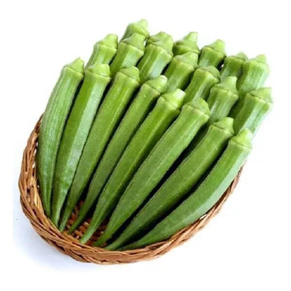 Perkins Long Pod Okra Seeds - Heirloom Non-GMO, 100+ Abelmoschus esculentus Seeds for Home Garden, Container, Raised Bed Cultivation