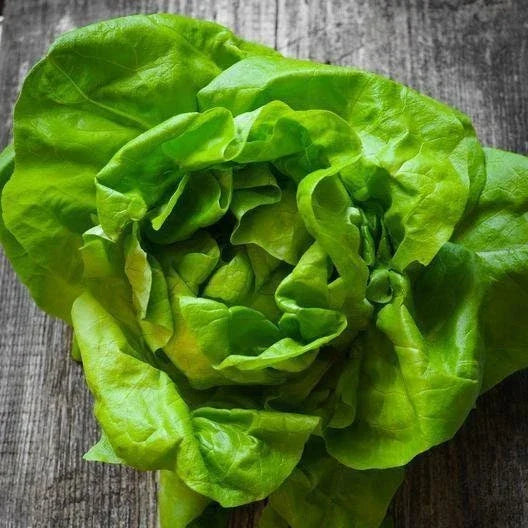 Butterhead Lettuce Seeds - Non-GMO Heirloom Lactuca sativa for Home Gardening, Salad Greens, Compact Growth