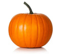 Hijinks Pumpkin Seeds Pack of 25+ Cucurbita pepo Non-GMO Garden Planting for Carving & Cooking