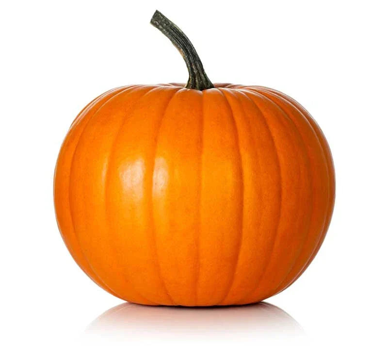 Hijinks Pumpkin Seeds Pack of 25+ Cucurbita pepo Non-GMO Garden Planting for Carving & Cooking