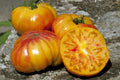 Buffalosun Tomato Seeds - Organic Hybrid F1 Solanum lycopersicum for Home Gardening, Heirloom Variety