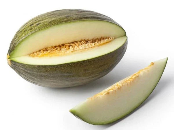 Early Valencia Melon Seeds – Organic Heirloom Honeydew Cucumis melo – Full Sun, Vining, Pack of 12+ Seeds