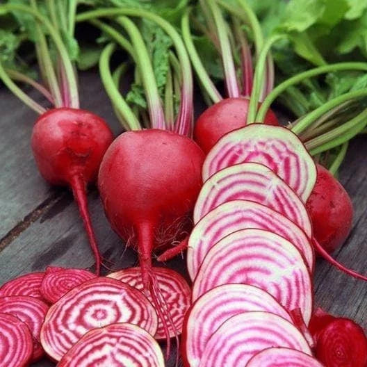 Chioggia Beet Seeds - Non-GMO Heirloom Beta vulgaris - Candy Stripe, Organic Garden Seeds for Home Gardening