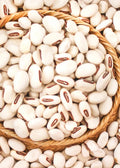 Organic Jack Bean Seeds 20 Pack Wonder/Sword Canavalia ensiformis for Cover Cropping and Soil Enrichment