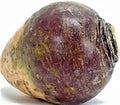 Rutabaga Seeds 500+ Count Non-GMO American Purple Top Brassica napus Vegetable Seeds for Home Garden