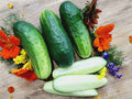 Wisconsin SMR-58 Cucumber Seeds - Heirloom Organic Non-GMO Pickling Variety, Cucumis sativus, 200+ Seeds