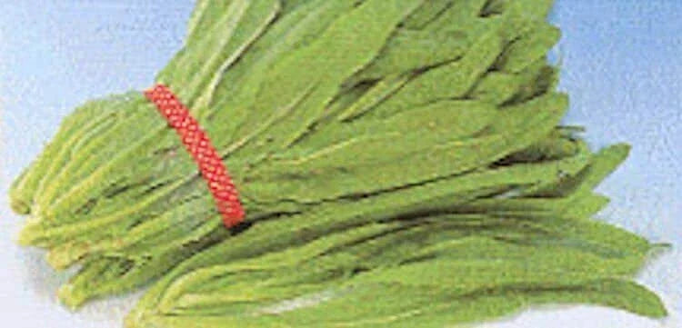 Sword Leaf Lettuce Seeds - Heirloom "A Choy" Lactuca sativa Organic Non-GMO Seeds for Salad & Garden