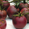 Chocolate Cherry Tomato Seeds - Organic Heirloom, Super Sweet, Solanum lycopersicum, 10+ Seeds, Full Sun, Indeterminate, Non-GMO
