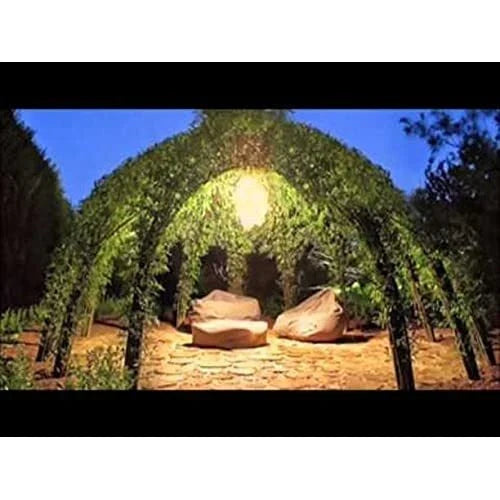 Willow Tree Kit - 10 Live Salix spp. Trees for Garden Structure with Video Tutorial