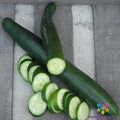 Orient Express Cucumber Seeds - Non-GMO, Full Sun, Vining, Cucumis sativus, 25 Seeds for Garden & Container Planting