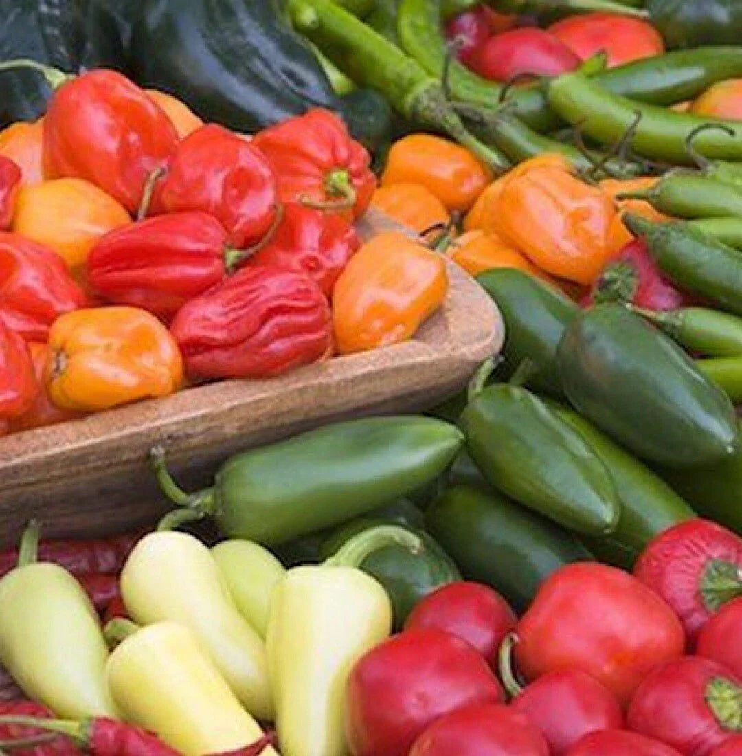 Mixed Pepper Seeds - 100+ Varieties Including Ghost, Habanero, Jalapeño - Capsicum Annuum & Chinense for Hot Peppers