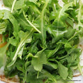Arugula Seeds 250+ Non-GMO Eruca sativa Leafy Greens for Salad, Garnish, Container Gardening
