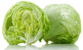 Crisphead Iceberg Lettuce Seeds – Organic Non-GMO Vegetable Seeds for Home Gardens – Lactuca sativa, 1200+ Seeds, Full Sun