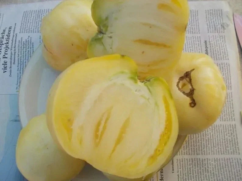 Great White Tomato Seeds - Heirloom Organic Beefsteak Variety, 30+ Non-GMO Seeds for Home Gardening
