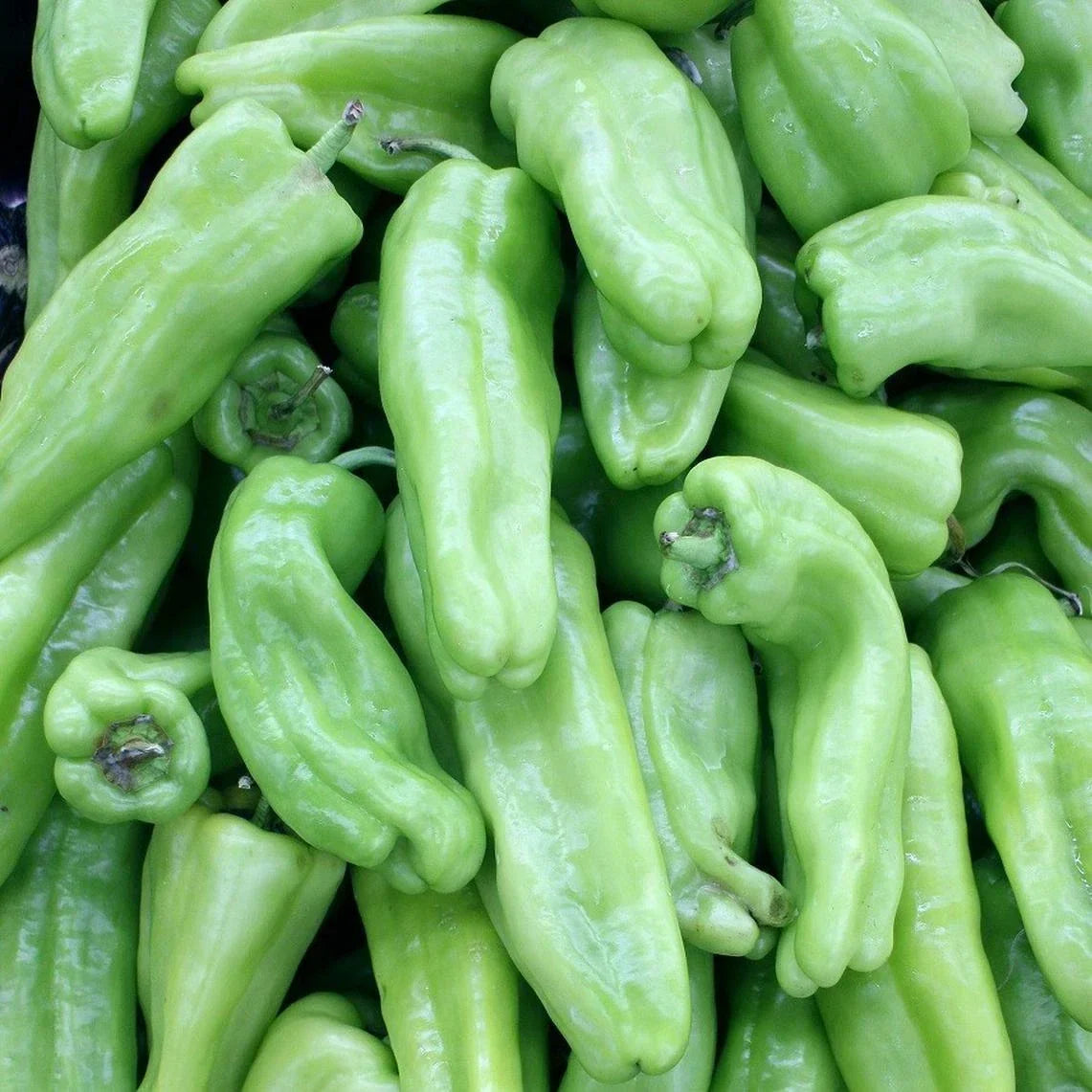 Cubanelle Pepper Seeds – Non-GMO Vegetable Seeds for Home Garden, Capsicum annuum, Sweet Mild Peppers, 50+ Packets