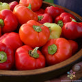 Alma Paprika Sweet Pepper Seeds – Heirloom, Non-GMO, Capsicum annuum, 25+ Seeds for Garden Planting
