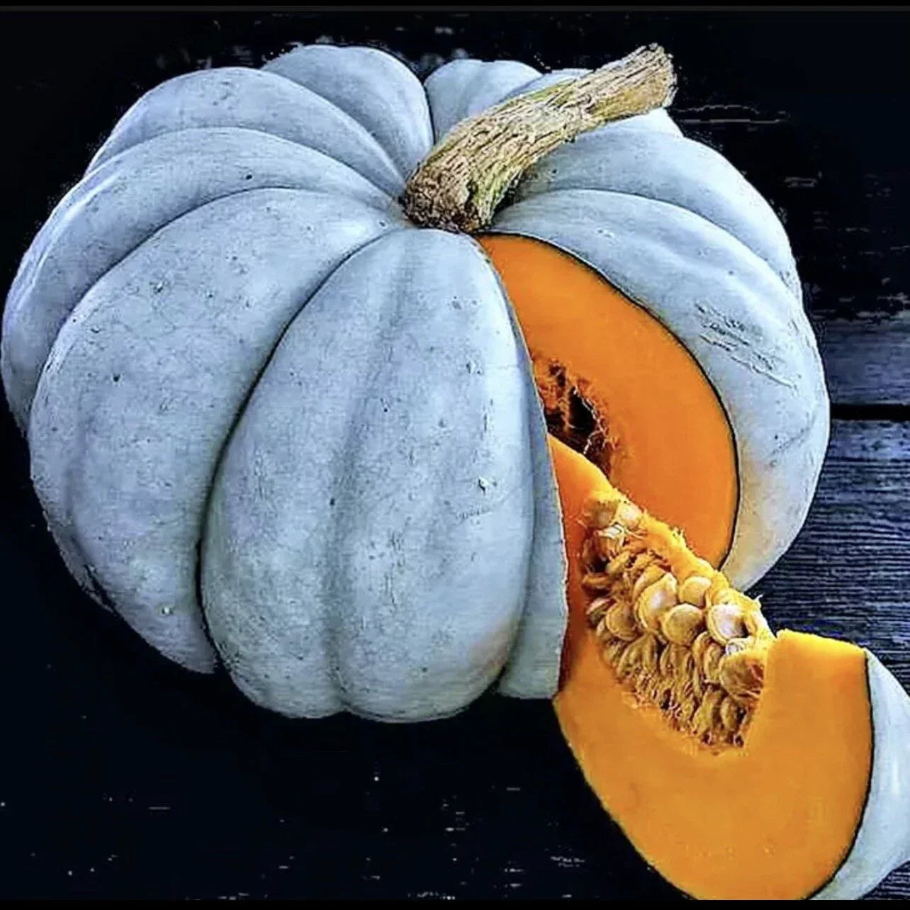 Blue Pumpkin Seeds Pack | Jarradale Queensland Cinderella Doll | Rare Cucurbita maxima Variety for Decorative & Culinary Use