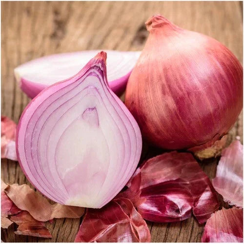 Ruby Red Onion Seeds - Heirloom Non-GMO Allium cepa, Vibrant Color, Sweet Flavor, Packaged in Resealable Bags