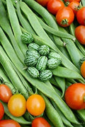 Cucamelon Seeds - 20 Pack Mexican Sour Gherkin Melothria scabra Non-GMO Made in USA