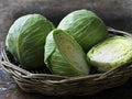 Cabbage Seeds Bulk 1000+ Heirloom Early Round Dutch Non-GMO Brassica oleracea for Home Garden, Salad, and Cooking