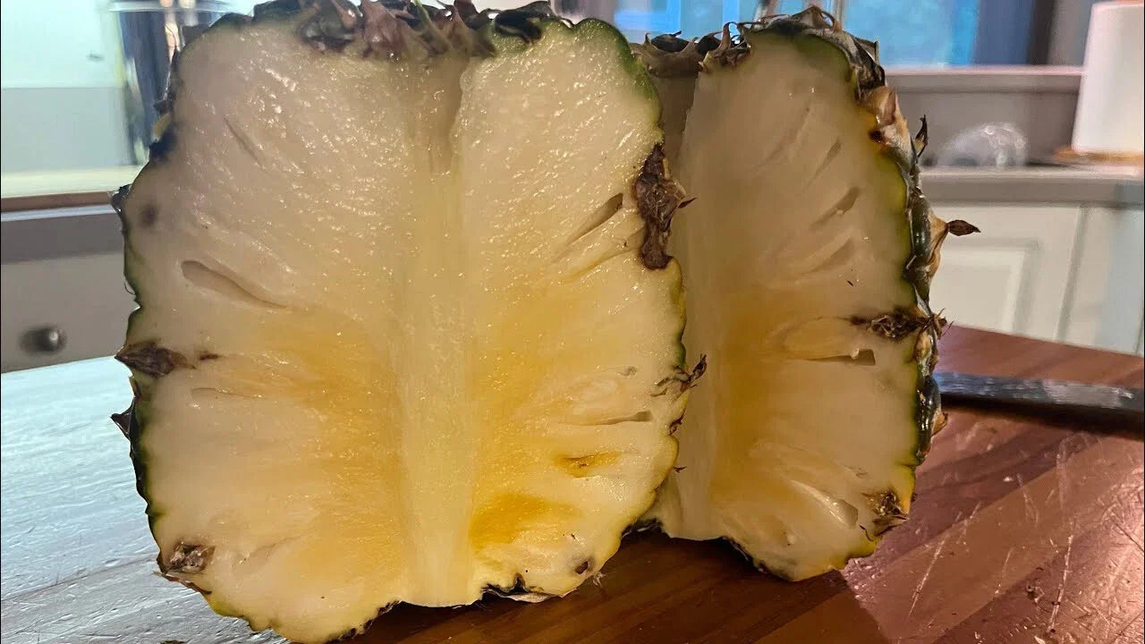 Sugarloaf Pineapple Seeds - Ananas comosus, Tropical Fruit, Garden Planting, USA Grown, Easy to Grow