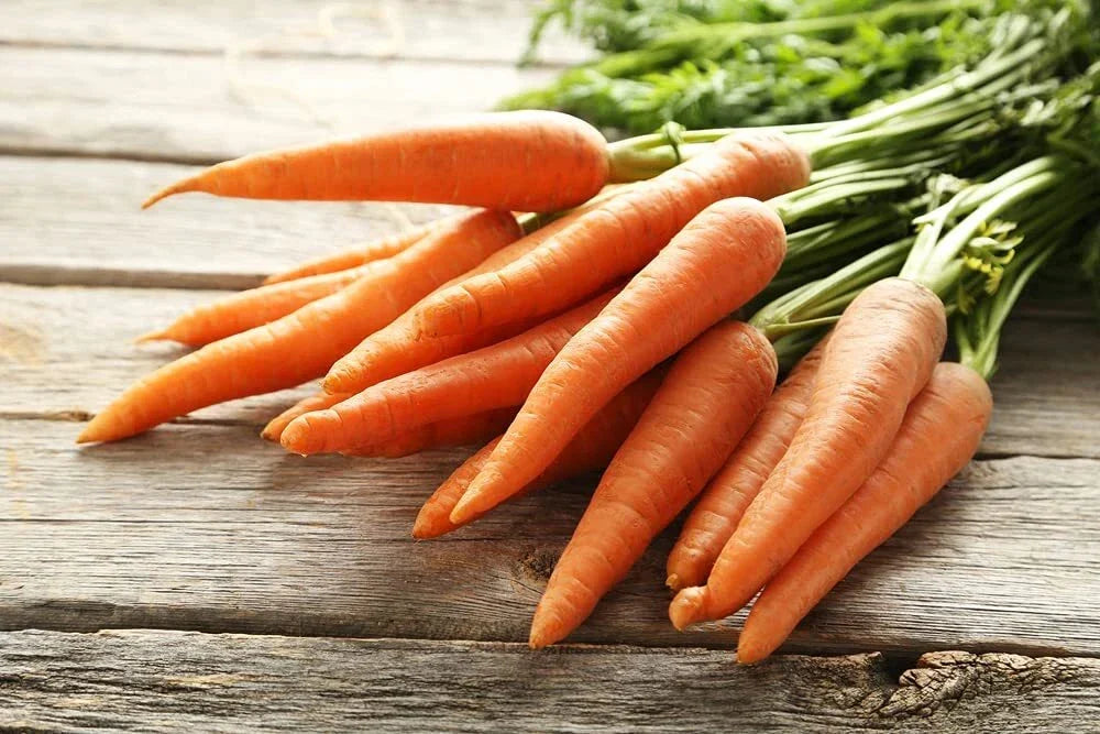 Scarlet Nantes Carrot Seeds – Heirloom Daucus carota, 100+ Seeds for Vegetable Gardening, Sweet Orange Root, Fast-Growing, Organic