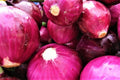 Red Grano Onion Seeds - Non-GMO Allium cepa Bulb Vegetable Seed Packets for Home Gardening