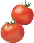 Rutger’s Heirloom Tomato Seeds - 100+ Solanum lycopersicum Vegetable Seeds for Home Garden, Container Growing