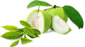 Ceylon Jumbo White Guava Seeds - Organic Heirloom Psidium guajava, Fruit Seeds for Garden, Tropical, Subtropical, Fruit Plant