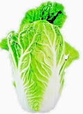Chinese Cabbage Seeds 100+ Heirloom Brassica rapa for Microgreens & Salads, Vegetable Garden