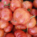 Vintage Wine Tomato Seeds - 30 Non-GMO Heirloom Solanum lycopersicum for Home Garden, Container Planting
