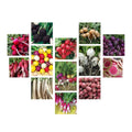 Radish Seeds Collection - 14 Heirloom Varieties, Non-GMO, Organic, Fast Germination, Raphanus sativus