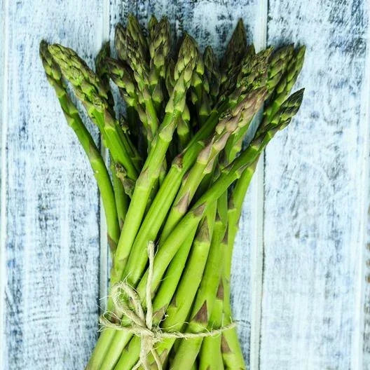 Asparagus Seeds - 50 Count - UC 157 F2 Heirloom High Yield Perennial - Asparagus officinalis Seed Pack