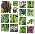 Asian Vegetable Seeds Set of 23 Packets – Diverse Varieties for Home Gardening and Urban Farming