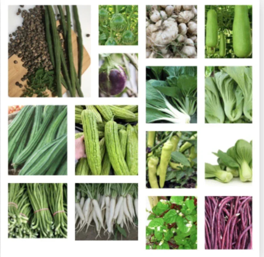 Asian Vegetable Seeds Set of 23 Packets – Diverse Varieties for Home Gardening and Urban Farming