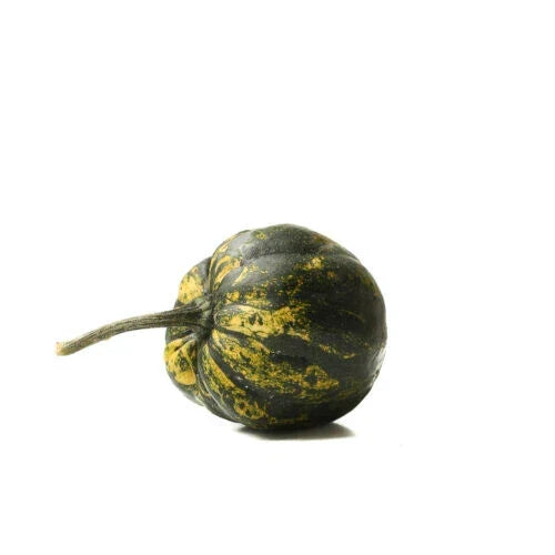 Starry Night Squash Seeds - Heirloom Cucurbita pepo, Vining, 25+ Seeds for Garden Planting