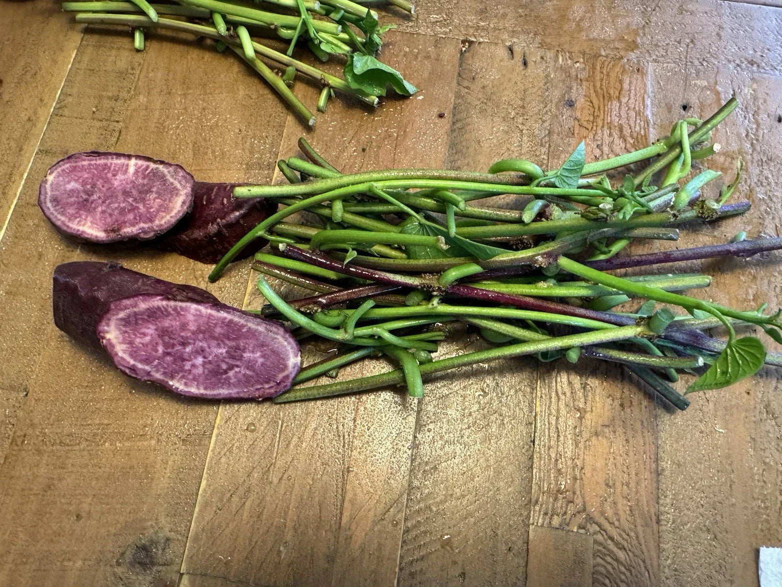 Japanese Molokai Sweet Purple Potato Slip Cuttings - 35 Pack | Ipomoea batatas