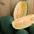 Organic Sweet Siberian Watermelon Seeds - Pack of 10, Heirloom, Non-GMO, Citrullus lanatus, Vining, Full Sun, USA Grown