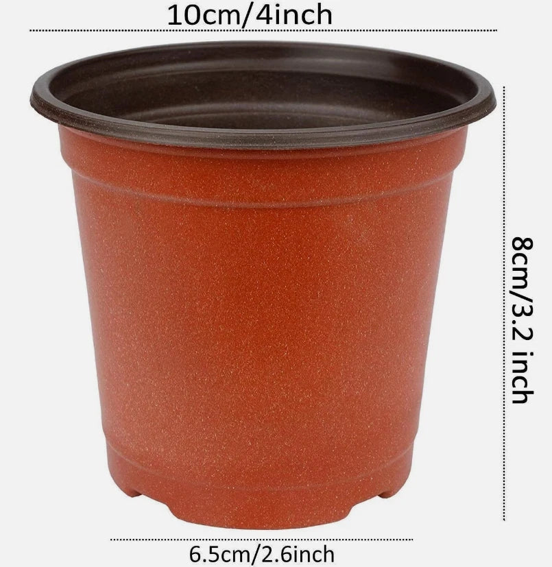 75 Pcs Plastic Nursery Pots for Succulents and Seedlings, 3-Inch Diameter, Reusable and Drainage-Optimized