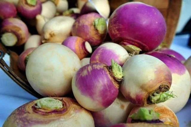 Turnip Seeds - 500 Heirloom Non-GMO Purple Top White Globe Brassica rapa Vegetable Seeds