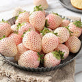 White Strawberry Seeds - Pineberry Hula Berry Alpine Berry for Container Garden - Fragaria × ananassa - USA Grown