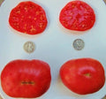 Ponderosa Pink Heirloom Tomato Seeds – Non-GMO Organic, 25 Seeds, Solanum lycopersicum, Large Pink Juicy Fruits, Vegetable Garden Plant