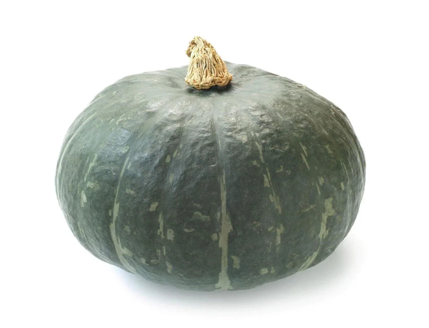 Kabocha Squash Seeds – 10+ Cucurbita maxima Japanese Pumpkin for Cooking, Roasting & Soups