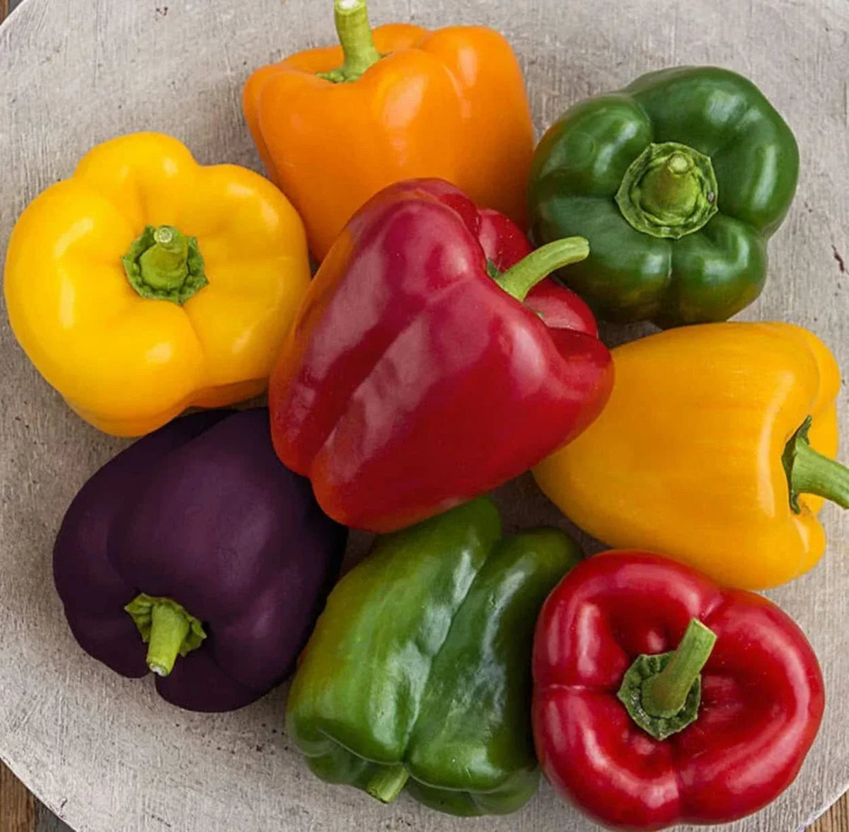 Rainbow Blend Sweet Bell Pepper Seeds - 300+ Non-GMO Capsicum annuum for Garden, Container, Full Sun