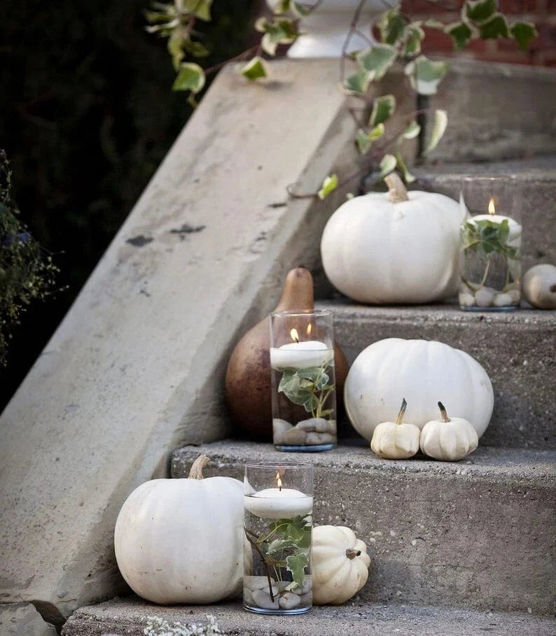 White Pumpkin Seeds Collection – Ghost, Casper, Baby Boo – Cucurbita pepo, Vining, White Decorative Pumpkins