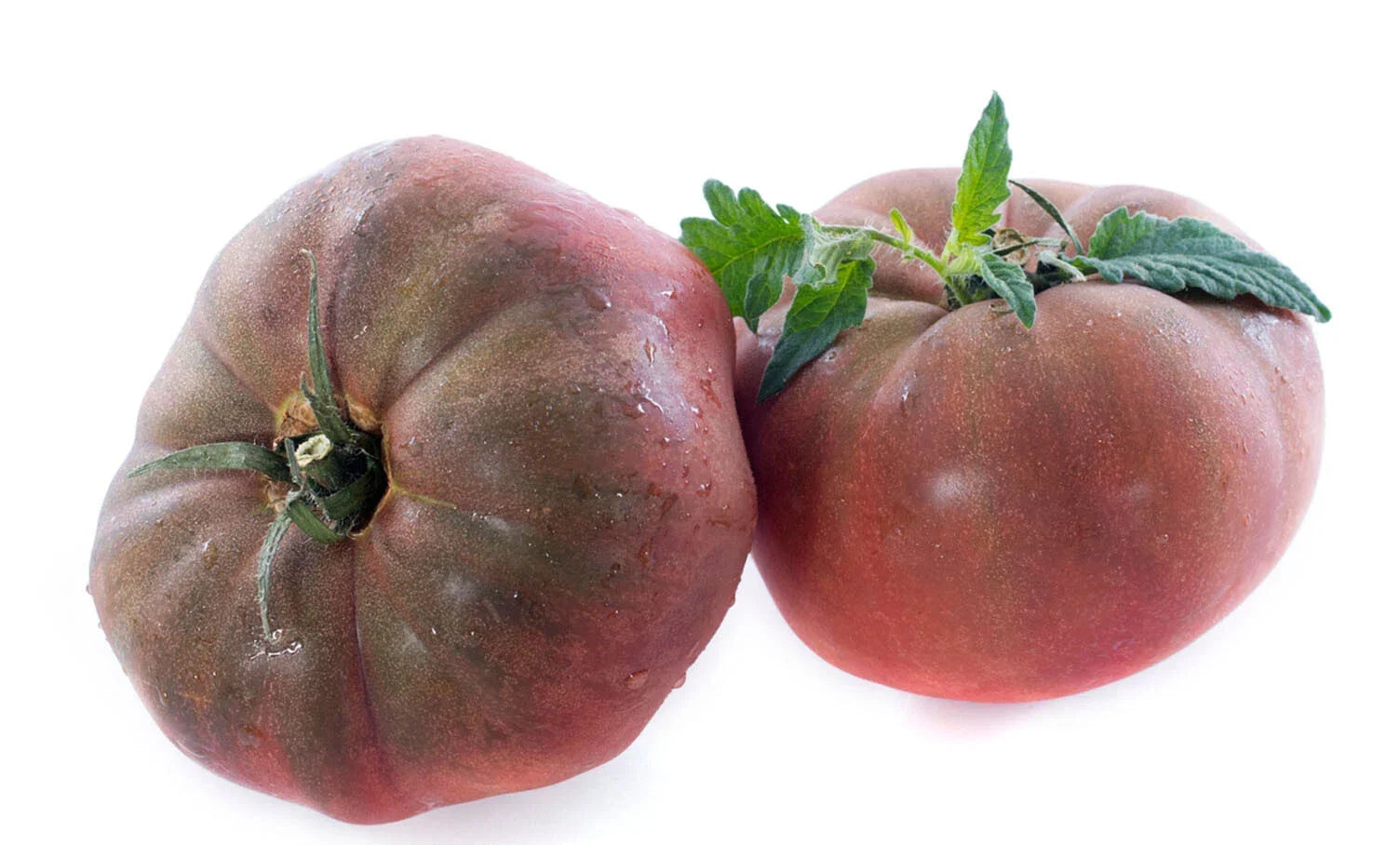 Organic Black Krim Tomato Seeds - Heirloom Russian Beefsteak, Non-GMO, 50+ Seeds for Home Gardening