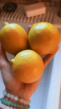 Organic Lemon Seeds - 20 Pesticide-Free Citrus limon Fruit Tree Seeds for Home Gardening